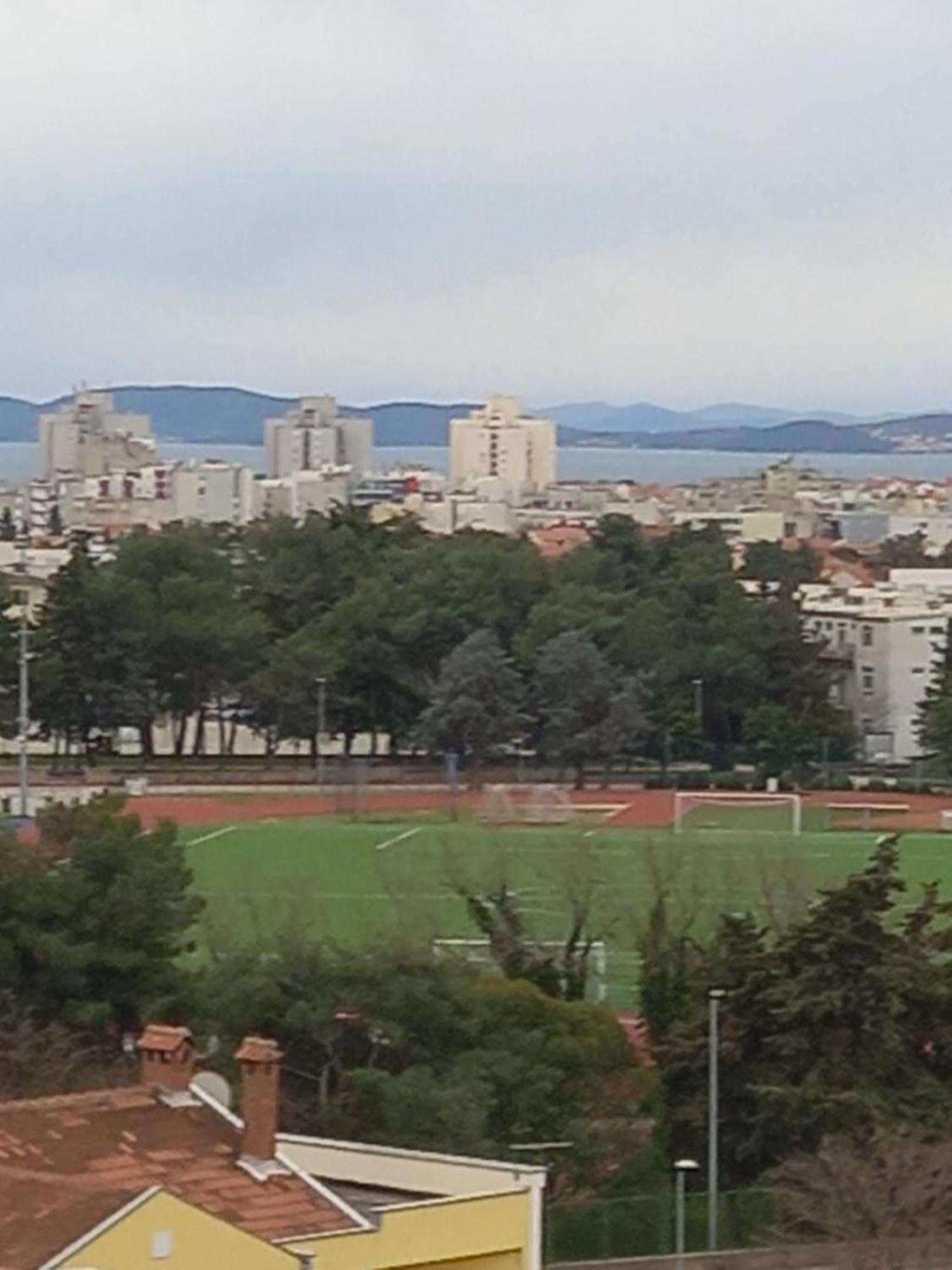 Pavlica